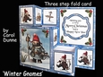 TSF Winter Gnomes