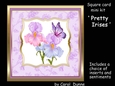 SC Pretty Irises