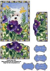 Westie with Pansies