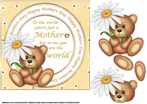 7x7 Just a mother bear