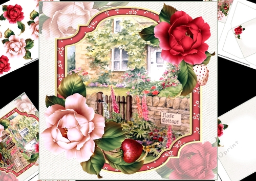 8x8 Country cottage with roses 2 mini kit