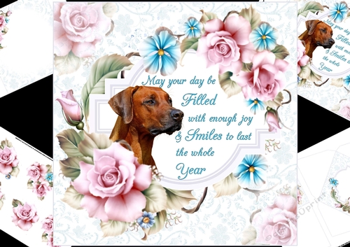 8x8 cool roses with special wishes mini kit 4
