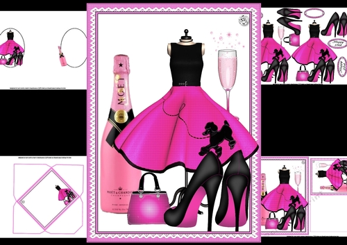 In the pink birthday wishes 18th/21st mini kit