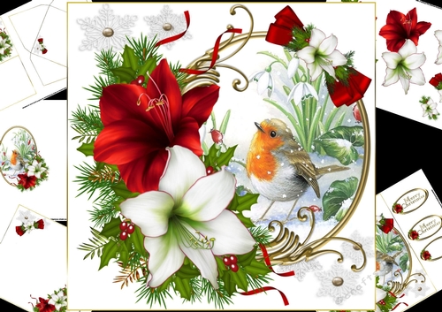 8x8 Christmas Robin with amaryllis mini kit 1 