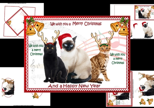We wish you a merry Christmas from the cats mini kit