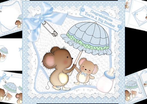 8x8 A new big brother baby boy mini kit