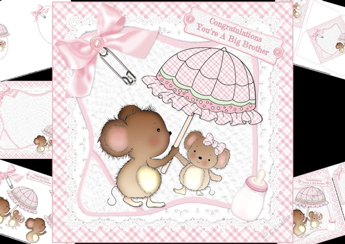 8x8 A new big brother baby girl mini kit