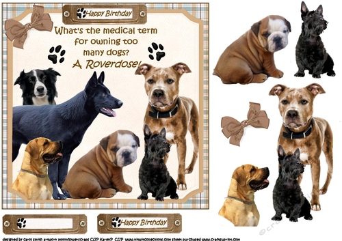7x7 Too many dogs