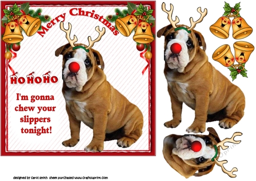 7x7 Reindeer bulldog