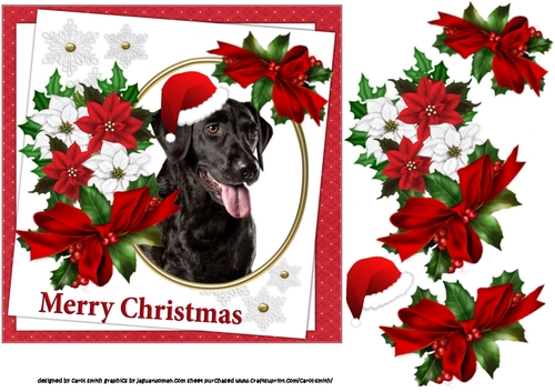 7x7 Black Lab Christmas wishes