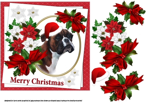 7x7 Boxer dog Christmas wishes