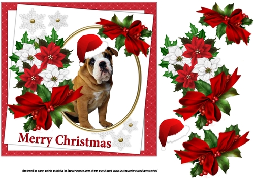 7x7 Bull dog Christmas wishes