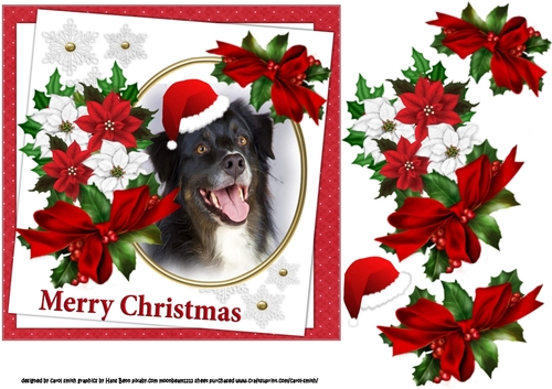 7x7 Collie dog Christmas wishes