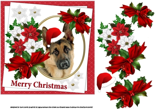 7x7 Germen Shepherd Christmas wishes