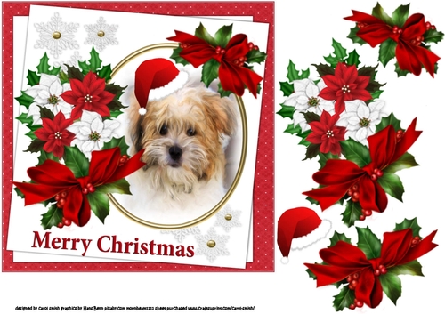 7x7 Terrier Christmas wishes