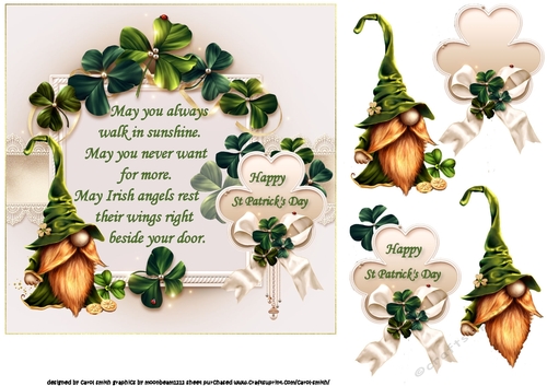 7x7 An Irish blessing gnome 