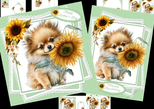 Pomeranian wishes 7x7 & A5 mini kit