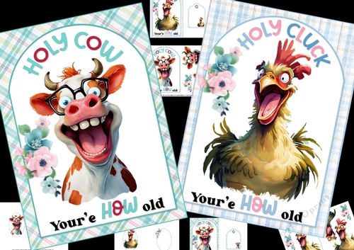 Holy cow & Holy cluck birthday choice of two mini kit