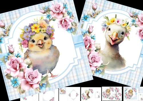 7x7 baby chick and duckling mini kit