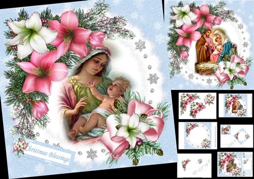 8x8 Beautiful nativity with Amaryllis choice of two mini kit