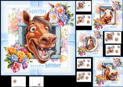 7x7 Birthday wishes from the horse choice of four mini kit