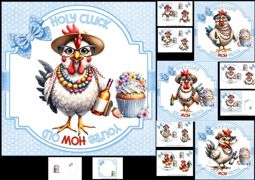 7x7 Holy cluck another birthday choice of four mini kit