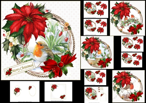 6x6 Beautiful Christmas Robin choice of four mini kit