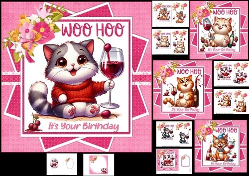 7x7 Woo Hoo its your birthday choice of four mini kit