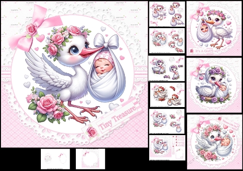 7x7 Stork delivery baby girl choice of four mini kit