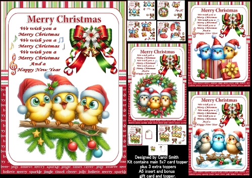 A Christmas bird song A5 portrait choice of four mini kit 