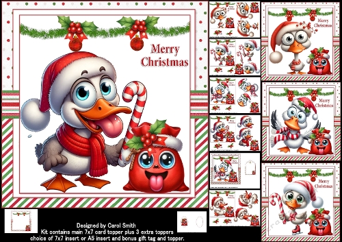 7x7 Quirky Christmas ducks choice of four mini kit