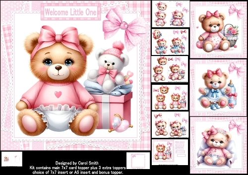 7x7 New baby Girl choice of four mini kit