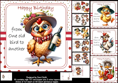 7x7 Birthday wishes from an old fool choice of four mini kit