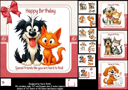 7x7 Special friend birthday choice of four mini kit