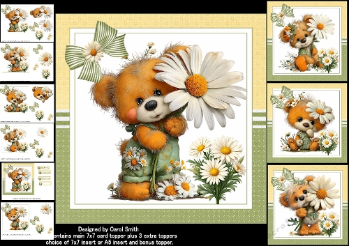 7x7 Daisy Teddy choice of four mini kit