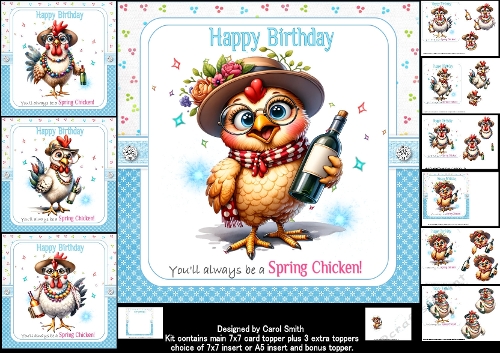 7x7 Spring chicken birthday wishes choice of four mini kit