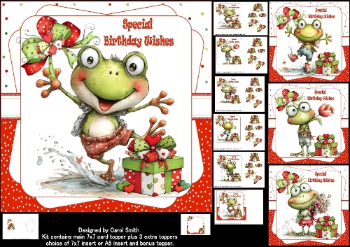 cup1447287_1209 - 7x7 quirky frog birthday wishes choice of four mini kit