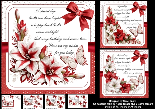 7x7 Amaryllis birthday wishes choice of three mini kit