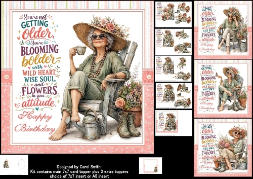 7x7 Special Lady choice of four mini kit