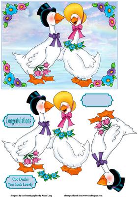 Coo Ducks You Look Lovely