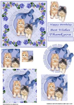 Kittens and Roses Double Choice
