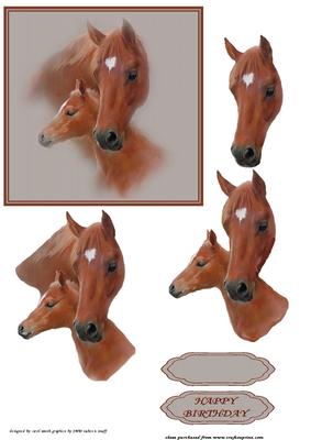 The Mare and Her Foal