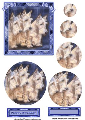 Scotty Dog Blue Circle Pyramage