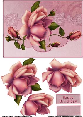 Lace and Roses