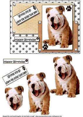 Wrinkles and Smiles Birthday Decoupage
