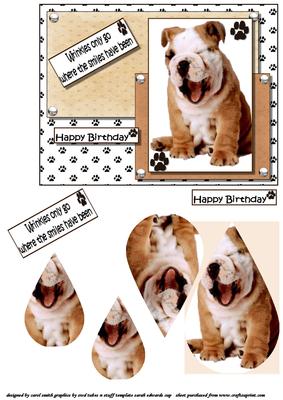 Wrinkles and Smiles Birthday Teardrop Pyramid