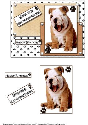 Wrinkles and Smiles Birthday Quick Topper