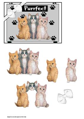 Purrfect Kittens