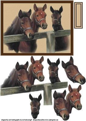 Three Horses at the Fence