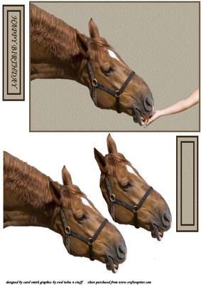 The Helping Hand with Horse Decoupage